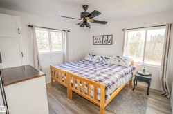 Bedroom featuring light wood-type flooring, multiple windows, and ceiling fan - 
