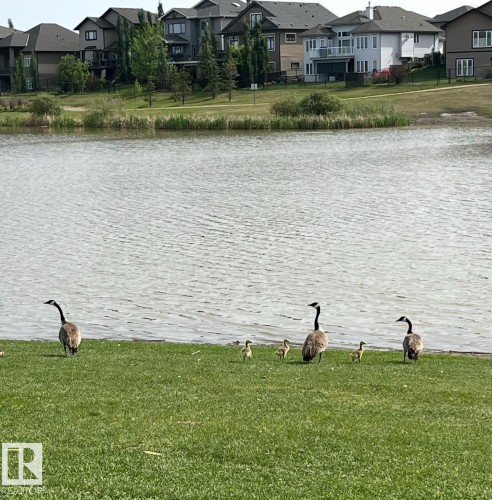 57 Dalquist Bay, Leduc, AB - Outdoor With Body Of Water