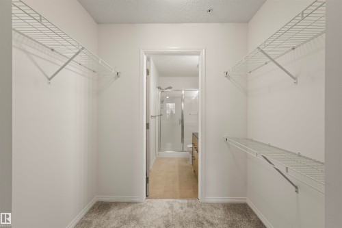 Walk in closet with light carpet and light tile patterned floors - 2209 7343 South Terwillegar Drive, Edmonton, AB - Indoor With Storage