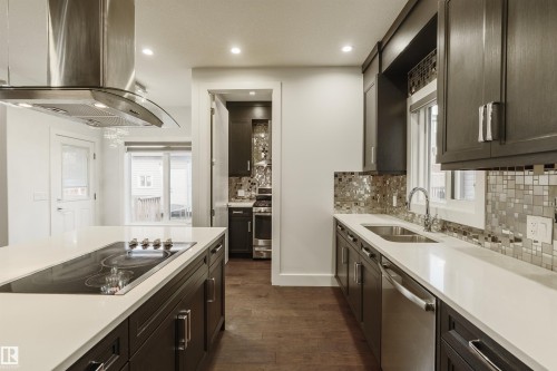 2109 53 Street, Edmonton, AB - Indoor Photo Showing Kitchen With Double Sink