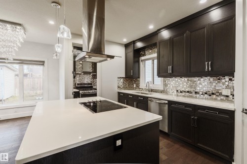 2109 53 Street, Edmonton, AB - Indoor Photo Showing Kitchen With Double Sink With Upgraded Kitchen
