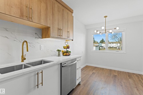 2935 109 Street, Edmonton, AB - Indoor Photo Showing Kitchen With Double Sink