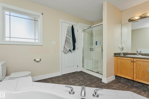 1518 Haswell Close, Edmonton, AB - Indoor Photo Showing Bathroom