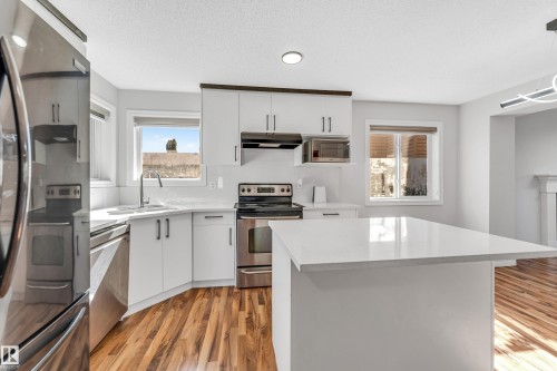 1921 119A Street, Edmonton, AB - Indoor Photo Showing Kitchen With Upgraded Kitchen