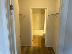 Spacious closet featuring dark wood-style flooring - 