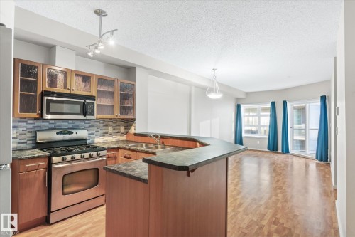 303 9910 111 Street, Edmonton, AB - Indoor Photo Showing Kitchen With Double Sink