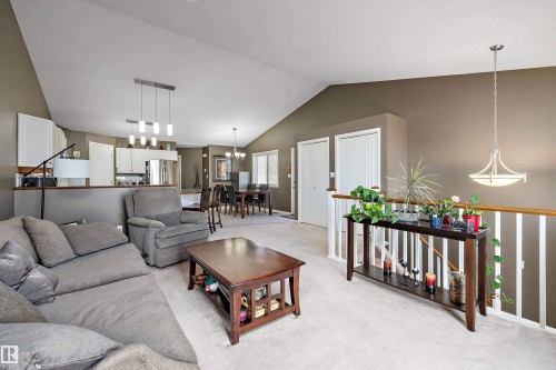 20 11717 9B Avenue, Edmonton, AB - Indoor Photo Showing Living Room