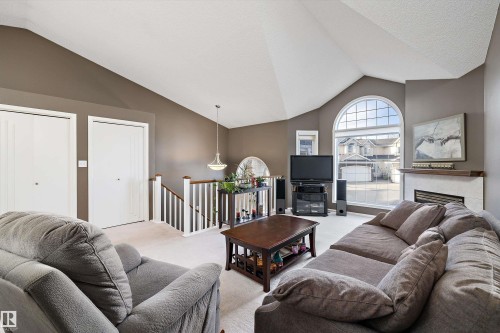 20 11717 9B Avenue, Edmonton, AB - Indoor Photo Showing Living Room