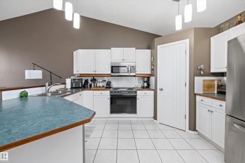 20 11717 9B Avenue, Edmonton, AB - Indoor Photo Showing Kitchen With Double Sink