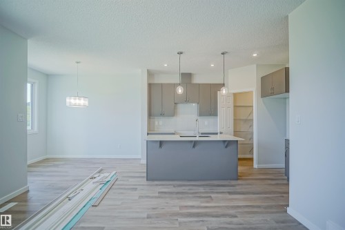 99 Ficus Way, Fort Saskatchewan, AB - Indoor Photo Showing Kitchen