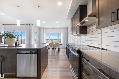 9332 183 Avenue, Edmonton, AB - Indoor Photo Showing Kitchen With Upgraded Kitchen