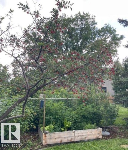 11531 78 Avenue, Edmonton, AB - Outdoor