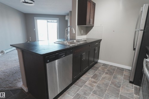 313 3211 James Mowatt Trail, Edmonton, AB - Indoor Photo Showing Kitchen With Double Sink