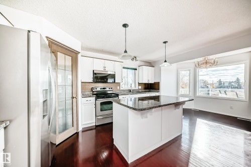10315 175 Avenue, Edmonton, AB - Indoor Photo Showing Kitchen With Upgraded Kitchen