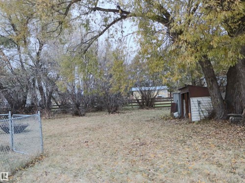 View of yard with view of wooded area and a storage unit - 4032A Twp Rd 604, Rural Barrhead County, AB - Outdoor