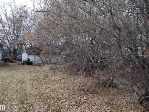 View of yard featuring a deck - 4032A Twp Rd 604, Rural Barrhead County, AB - Outdoor