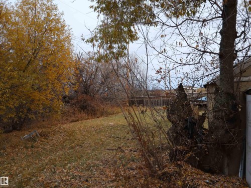 View of grassy yard - 4032A Twp Rd 604, Rural Barrhead County, AB - Outdoor