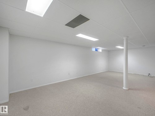 316 Burton Road, Edmonton, AB - Indoor Photo Showing Basement
