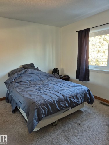 9 6920 101 Avenue, Edmonton, AB - Indoor Photo Showing Bedroom