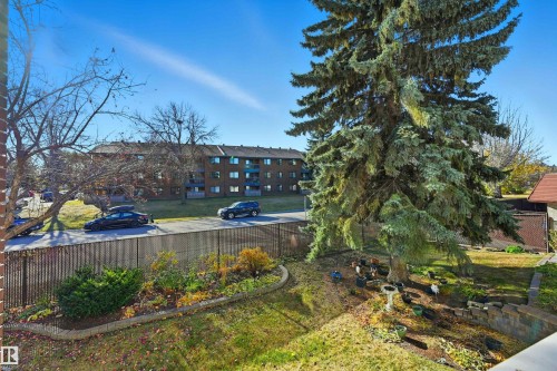 204 14810 51 Avenue, Edmonton, AB - Outdoor