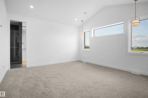 4685 Chegwin Wynd, Edmonton, AB - Indoor Photo Showing Other Room