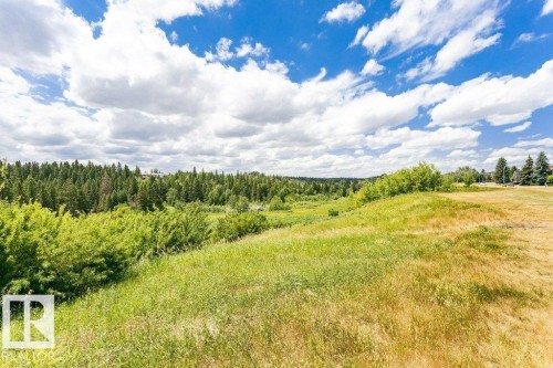 1051 109 Street, Edmonton, AB - Outdoor With View