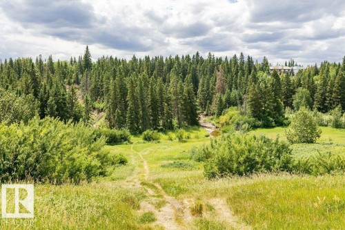 1051 109 Street, Edmonton, AB - Outdoor With View