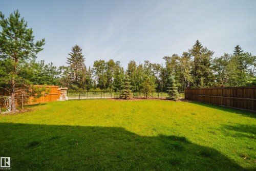 705 Howatt Drive, Edmonton, AB - Outdoor With Backyard