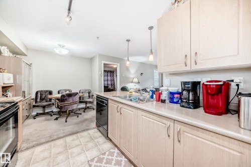 102 13907 136 Street Nw, Edmonton, AB - Indoor Photo Showing Kitchen With Double Sink