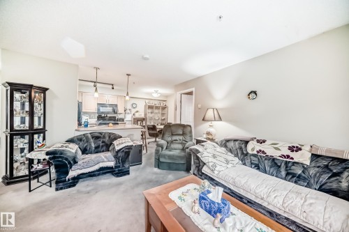 102 13907 136 Street Nw, Edmonton, AB - Indoor Photo Showing Living Room