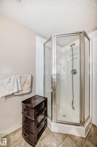 102 13907 136 Street Nw, Edmonton, AB - Indoor Photo Showing Bathroom