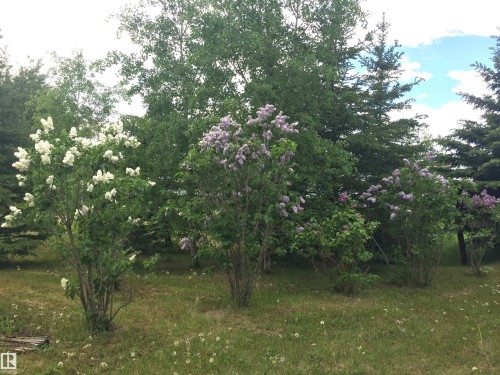 Main Street First Ave, Rural Parkland County, AB 