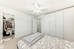 Carpeted bedroom featuring a ceiling fan and a walk in closet - 