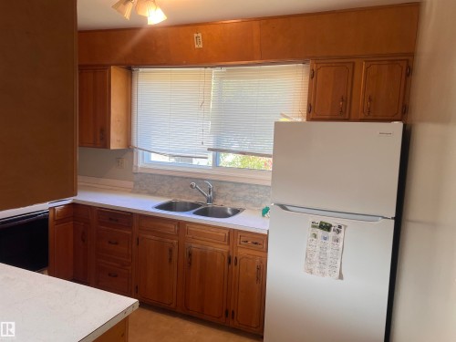 9415 149 Street, Edmonton, AB - Indoor Photo Showing Kitchen With Double Sink