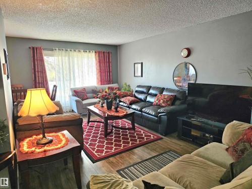 206 8930 149 Street, Edmonton, AB - Indoor Photo Showing Living Room