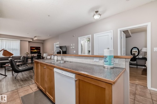 101 8619 111 Street, Edmonton, AB - Indoor Photo Showing Kitchen With Double Sink