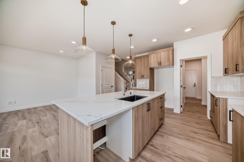 20616 43 Avenue, Edmonton, AB - Indoor Photo Showing Kitchen With Upgraded Kitchen