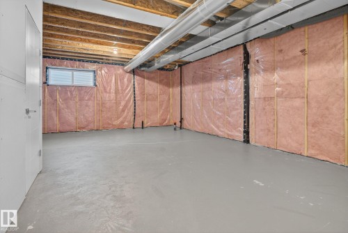 1096 Secord Promenade, Edmonton, AB - Indoor Photo Showing Basement