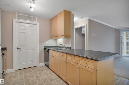 121 13005 140 Avenue, Edmonton, AB - Indoor Photo Showing Kitchen With Double Sink