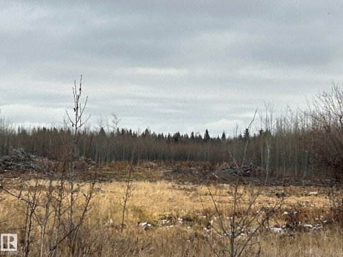 Rr 210 Twp Rd 605, Rural Thorhild County, AB 