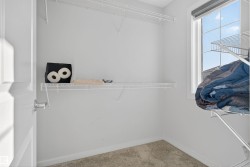 Walk in closet featuring carpet - 