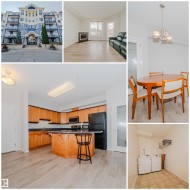 209 12111 51 Avenue  Edmonton, AB T6H 6A3