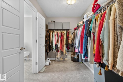 Walk in closet featuring light colored carpet - 117 7293 South Terwillegar Drive, Edmonton, AB - Indoor With Storage