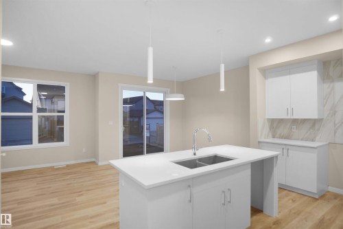 9828 219 Street, Edmonton, AB - Indoor Photo Showing Kitchen With Double Sink