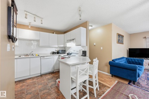 201 9010 106 Avenue, Edmonton, AB - Indoor Photo Showing Kitchen With Double Sink