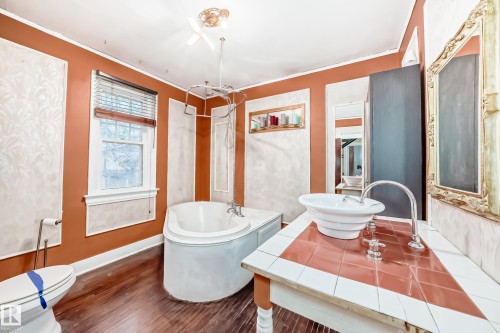 11619 96 Street, Edmonton, AB - Indoor Photo Showing Bathroom