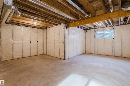 358 Bluff Cove, Leduc, AB - Indoor Photo Showing Basement