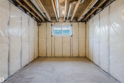 358 Bluff Cove, Leduc, AB - Indoor Photo Showing Basement
