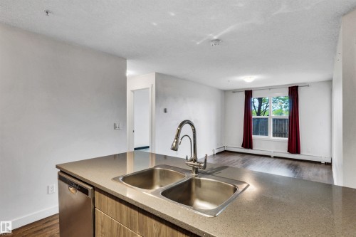 106 667 Watt Boulevard, Edmonton, AB - Indoor Photo Showing Kitchen With Double Sink
