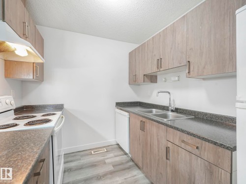 303 10528 29 Avenue, Edmonton, AB - Indoor Photo Showing Kitchen With Double Sink